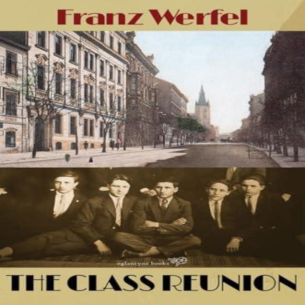 Class Reunion by Franz Werfel Paperback Book 9781913378189