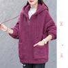Однотонное худи из флиса из овечьей шерсти для женщин, толстое, зимнее, свободного кроя, в корейском стиле, на молнии, повседневное пальто из флиса тедди
