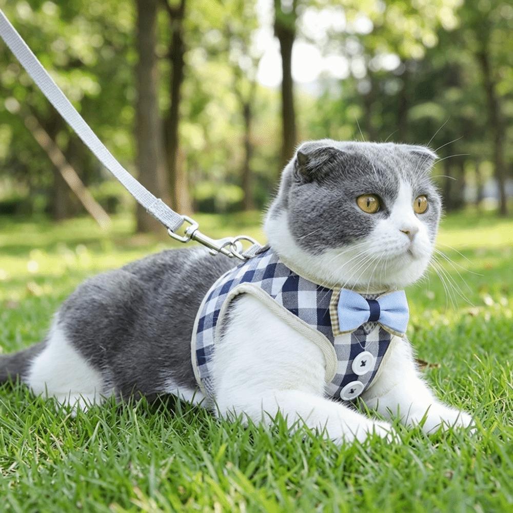 Air Permeable Fabric Cat Walking Vest Adjustable Strap Adjustable Cat Leash Kitten Daily Activity