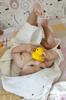 bath toys 6 pcs. without hole hygienic