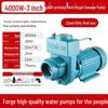Household Self-Priming Large Flow Water & Sewage Pump for Agriculture & Drainage