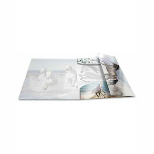 Папка Herma Elasticated Glossy PP A3 Животные (Лошади)