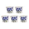 Set of 5 225cc Hasami Ware Made In Wildflower Blue Design 439086 J-kitchens Teacups, Japan, /