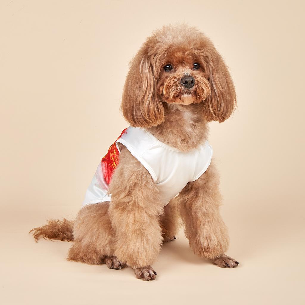 Soccer Goal Dog Shirts Button Up Dog Clothes Breathable Pet T-Shirt Sweatshirt for Small Medium Dogs Cats