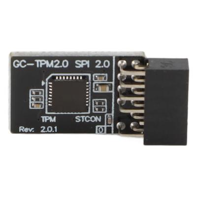 Модуль безопасности шифрования TPM2.0 GA 12-контактный 2x6P TPM Удаленная карта Совместим для GC-TPM2.0 для