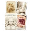 Tarot Deck English Oracle Cards for White Light Waite Alice Series Tarot Cards Board Games