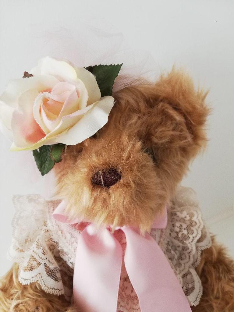 [USED] Cute stuffed bear teddy bear doll purchased in Hawaii