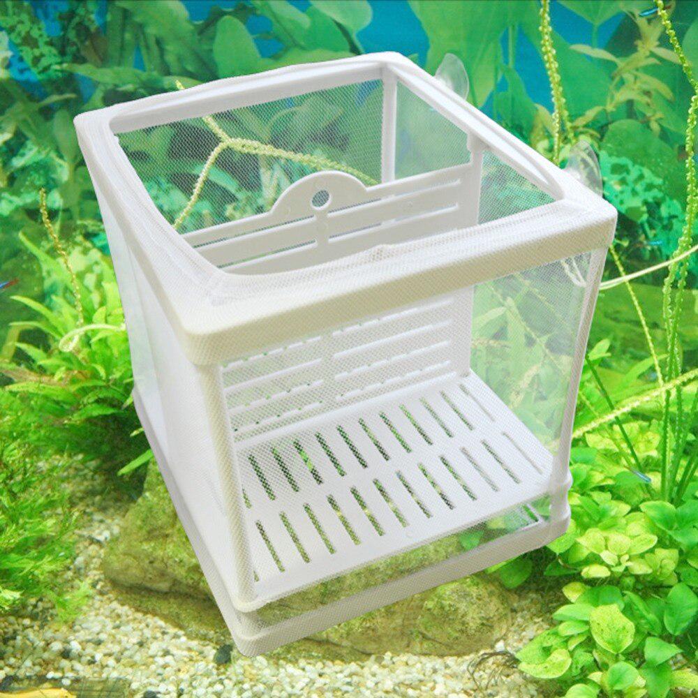 1 шт. инкубатор для разведения рыб, сетка, подвесная изоляционная коробка для инкубатора для аквариума, аксессуары для аквариума