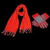 Aisiyalan Winter Scarf and Glove Set