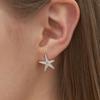 cotoit Star Fish Earrings