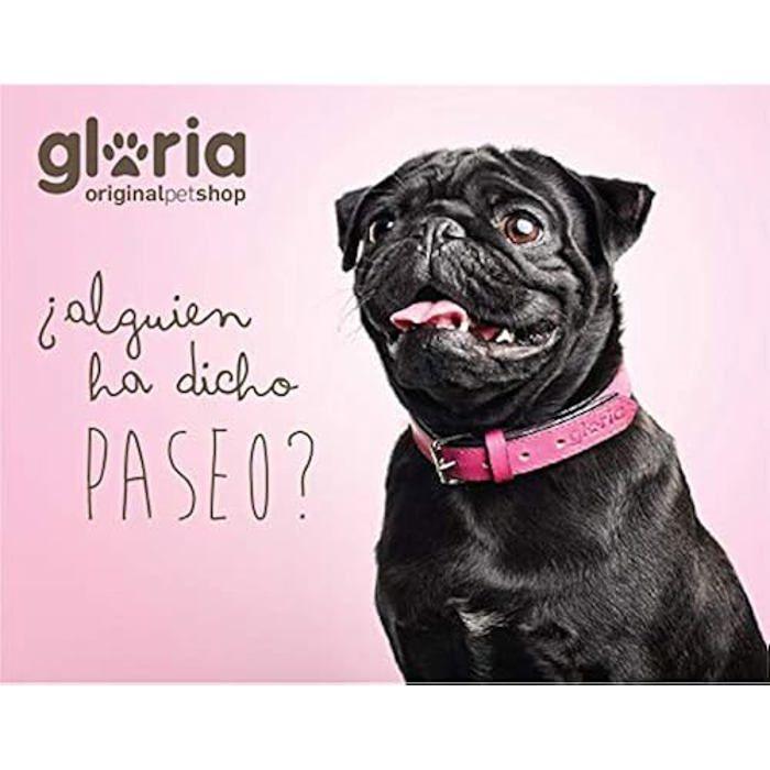 Nubuck Leather Collar - GLORIA - D-Ring - Adjustable - Brown - Medium