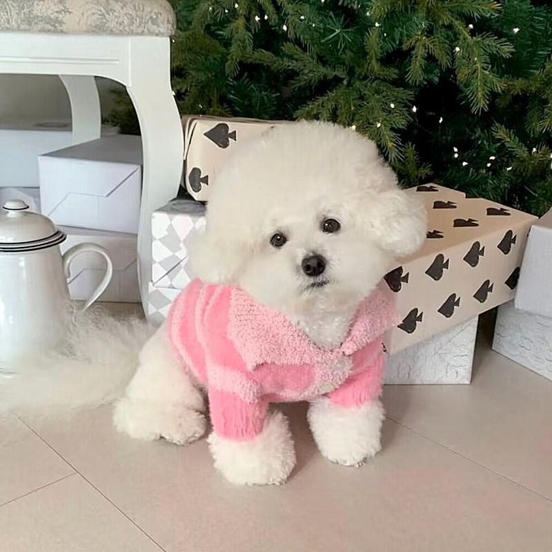 Pet Sweater Autumn Dog Clothes Teddy Yorkshire Cat Bichon Poodle Small Dog Anti-shedding Autumn And Winter Clothing