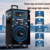 Портативная уличная Bluetooth-колонка Newmine N550 12 дюймов с микрофоном, штекер CN (адаптер в комплекте)