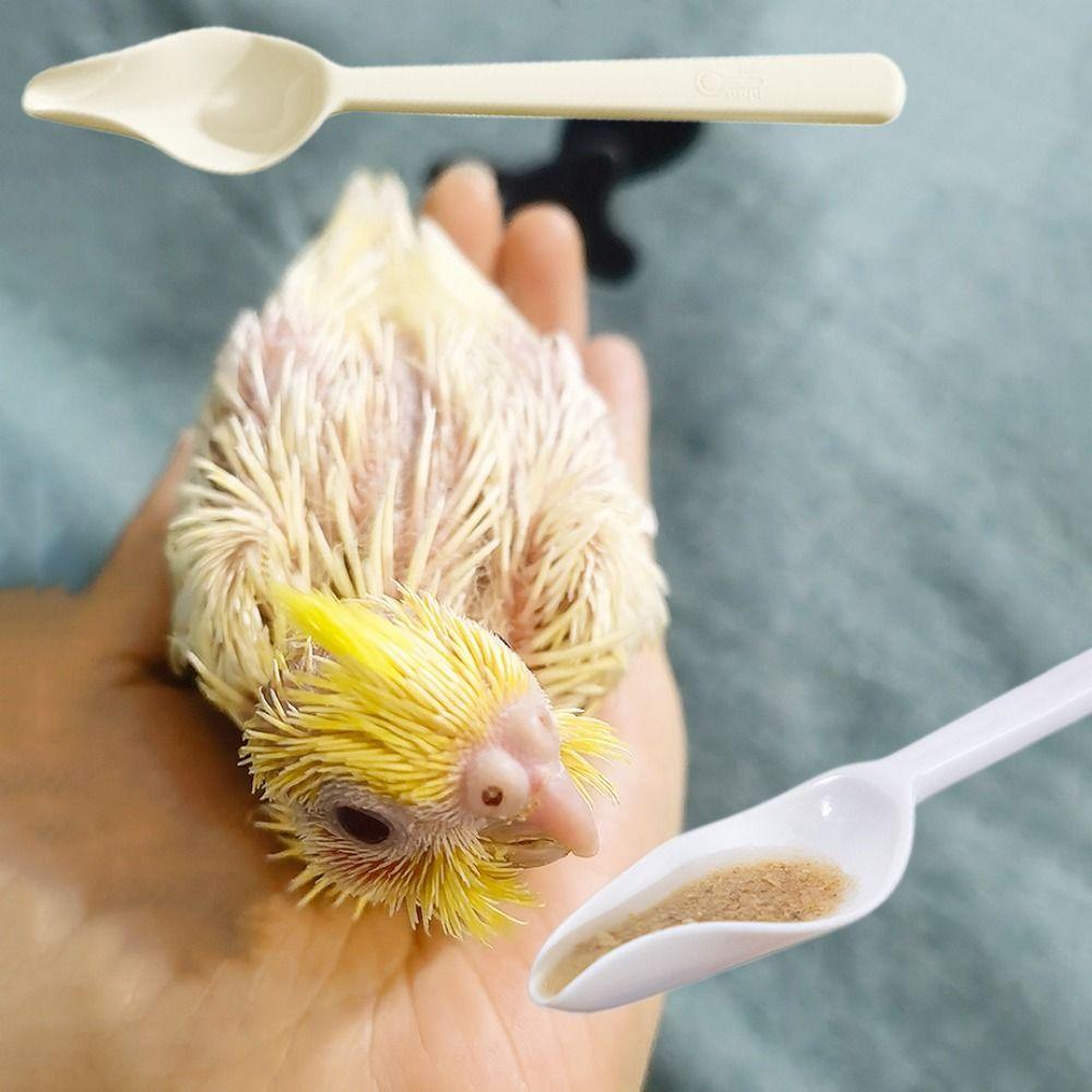 Long Handle Bird Milk Powder Feeder Heat-resisting Chicks Medicine Spoon  For Cockatiel Parrots
