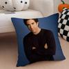 RRoss GellerClassic Character Cushion Cover Throw Pillow Cover Hidden Button Durable Polyester Chair Cushion