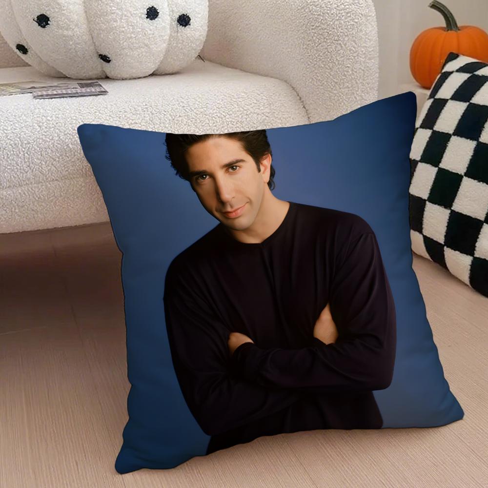 RRoss GellerClassic Character Cushion Cover Throw Pillow Cover Hidden Button Durable Polyester Chair Cushion