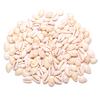 100Pcs Lot Small Natural Shell Seashell Conch Ornaments Oval Shells Conch for Decorative Fish Tank Aquarium Home Room Decor 15-20mm