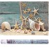 3D Effect Adhesive Seashell Starfish Poster for Aquarium Fish Tank Decoration (L)