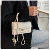 Small Square Bag Women's 2024 New Crossbody Bag Ladies Fashionable Simple Handbag