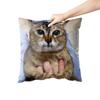 Aertemisi 18'' X 18'' Толь Толь Кот Мэй Мэй Кот Квадратные Декоративные Подушки Наволочки Чехлы Для Подушек Для Дивана 45См X 45 См