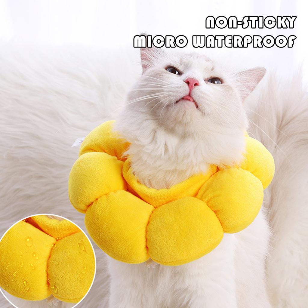Sunflower Padded Elizabethan Collar for Cats Soft Anti Licking Pet Accessory