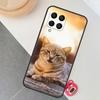 Cute Cat Animals Kitten Case For Samsung Galaxy M12 M32 M52 M15 M35 M55 M31 M56 M36 M16 M06 M13 M33 M53 M14 M34 M54