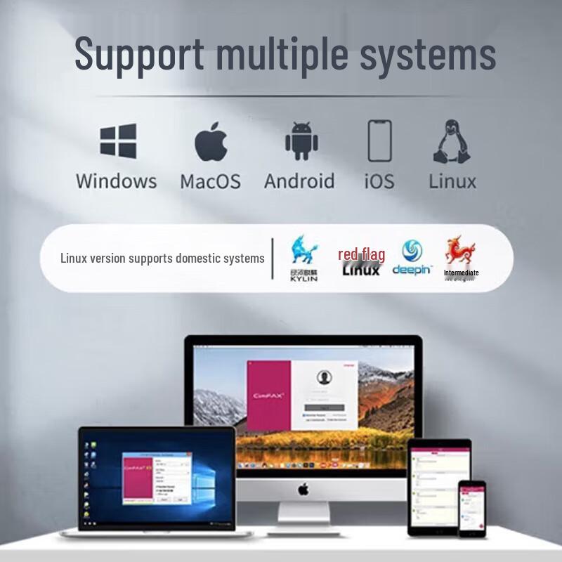 CimFAX CF-E5240 Flagship Dual-Line Paperless Fax Server CN plug (adapter included)