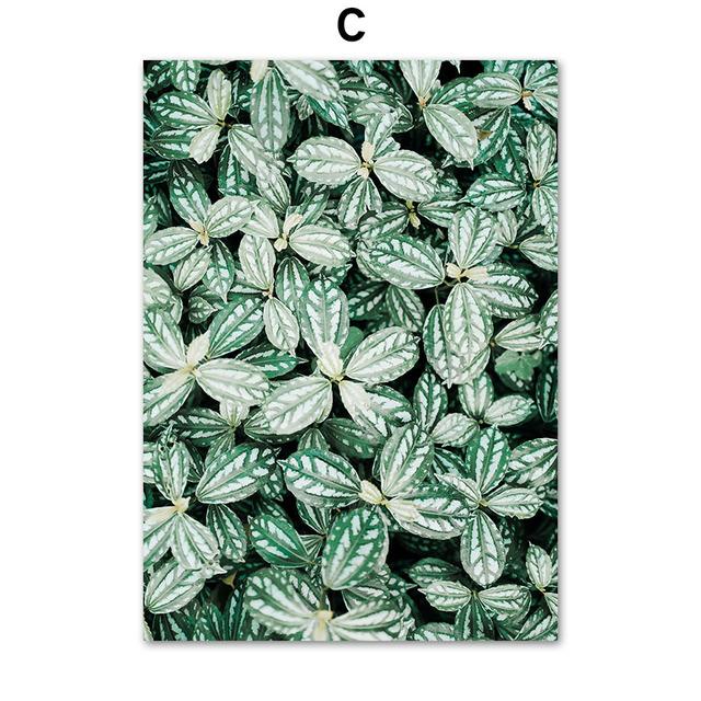 Зеленые тропические растения сочные монстера настенная живопись на холсте плакаты на скандинавскую тему и принты настенные панно для декора гостиной