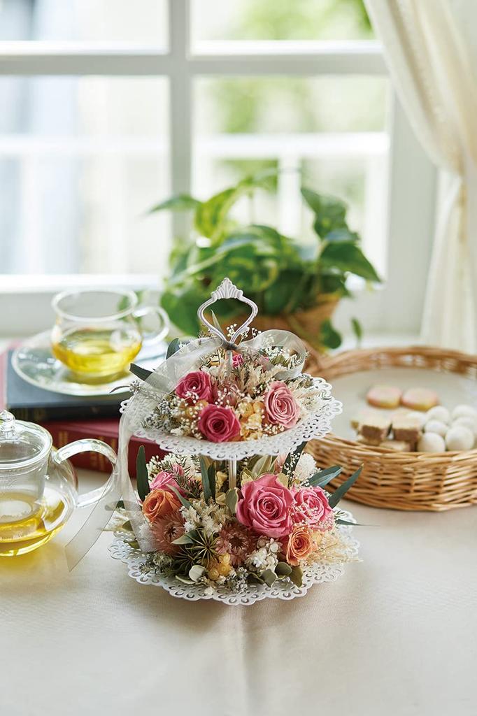 Tokyodo Сухоцветы Морская звезда 20 шт. Прибл.. L3.0~6.0см FD005064-zzz