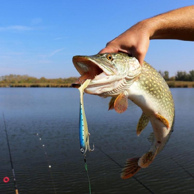 7 шт. Рыболовная приманка для форели, судака, плавательные приманки, рыболовные приманки, плавательные приманки с лопаточным хвостом, искусственные приманки для морской воды