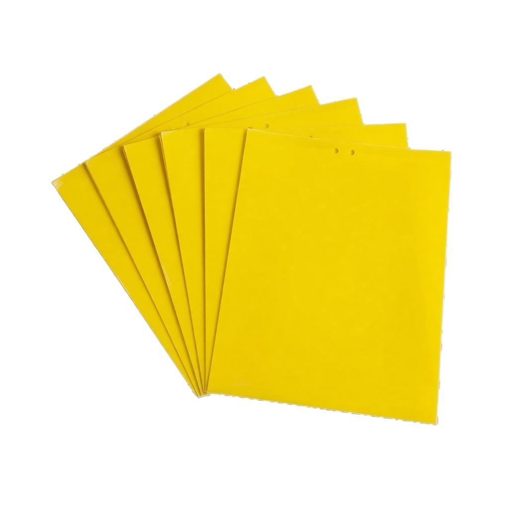 20 Pack Sticky Fly Trap Boards Double Sided Adhesive Insect Catcher Sheets 20x30cm Pest Control Flypaper for Small Flying Insects