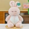 Animal Cartoon Stuffed Plush Toys Rabbit Bear Duck White Dog Cat Doll Gifts