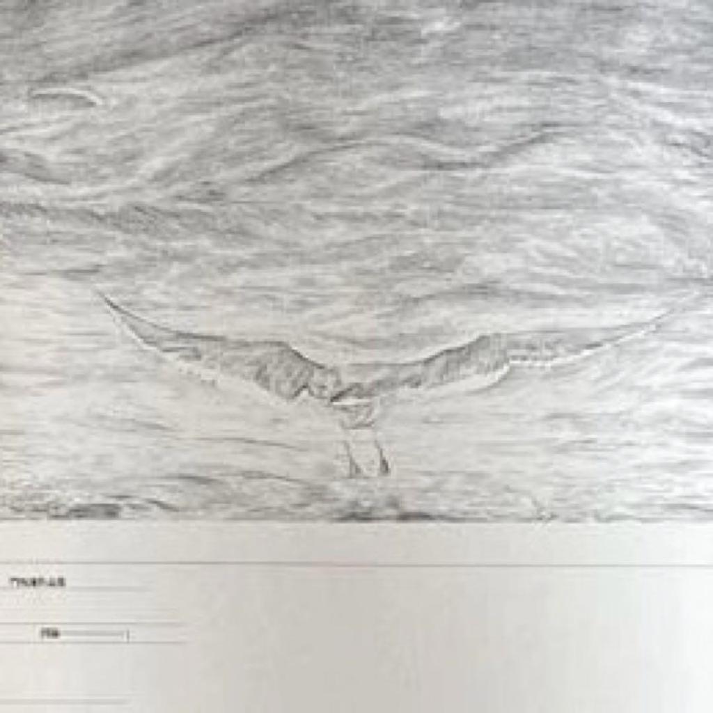 [Б/У] Школа работ Кадосака: Школа ветроэнергетики