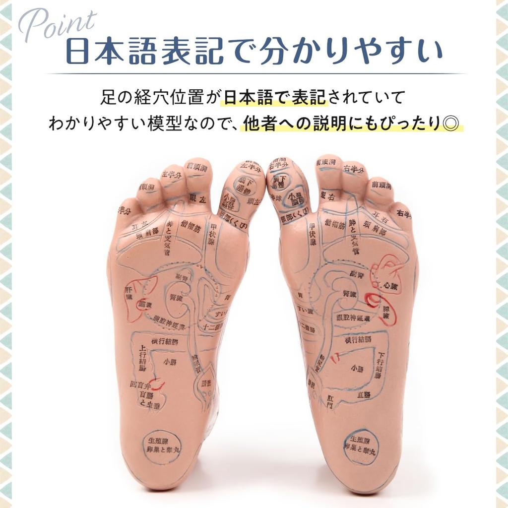 Easy To Memorize Foot Pressure Point Model Foot Pressure Point Massage Sole Diagram Foot Pressure Point Reflex Area 20cm Acupuncture Chiropractic