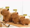 Cute Plush Capybara Doll & Pillow - Lying Version Birthday Gift
