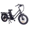 GOGOBEST GF200 Electric Bike, 500W Motor, 48V 15.6Ah Battery, 20*3.0 inch Tires, 45km/h Max Speed