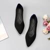 Women's Shoes Mesh Breathable Pointed Toe Flat Shoes Fashion Soft Bottom Knitted Shoes Female Casual Slip On Footwear Loafers