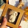 Mini Bear Hug Cute Stuffed Animal Gifts,Pocket Teddy Bear Mini Plush Bears In Box,Pocket Bears With Inspirational Card