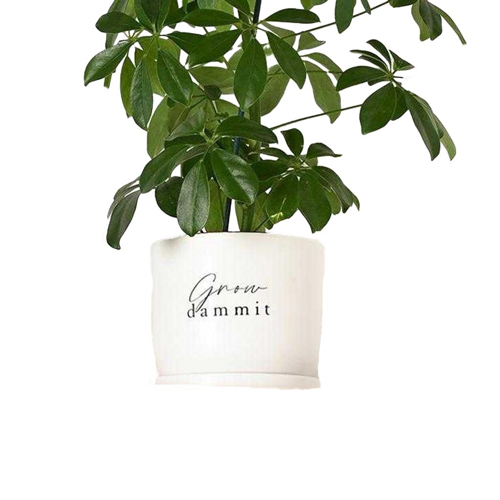 Country Living Grow Damn It Ceramic Plant Pot