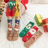 5/10 Pairs Comfortable Casual Autumn Winter Thickened Christmas Socks for Women Home Warm Coral Fleece Socks Cute Cartoon Straight Leg Floor Socks