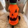 New, Spring and Autumn Dog Clothes T-Shirt, Sleeved, Breathable, Comfortable, Halloween, Pumpkin