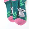 1 пара женских милых хлопковых носков средней длины с рисунком коалы, новинка, подходят для повседневной носки в любое время года