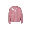 Puma Толстовки Женские Свадебные Розовые С круглым вырезом Умеренные Обычные 581069-14