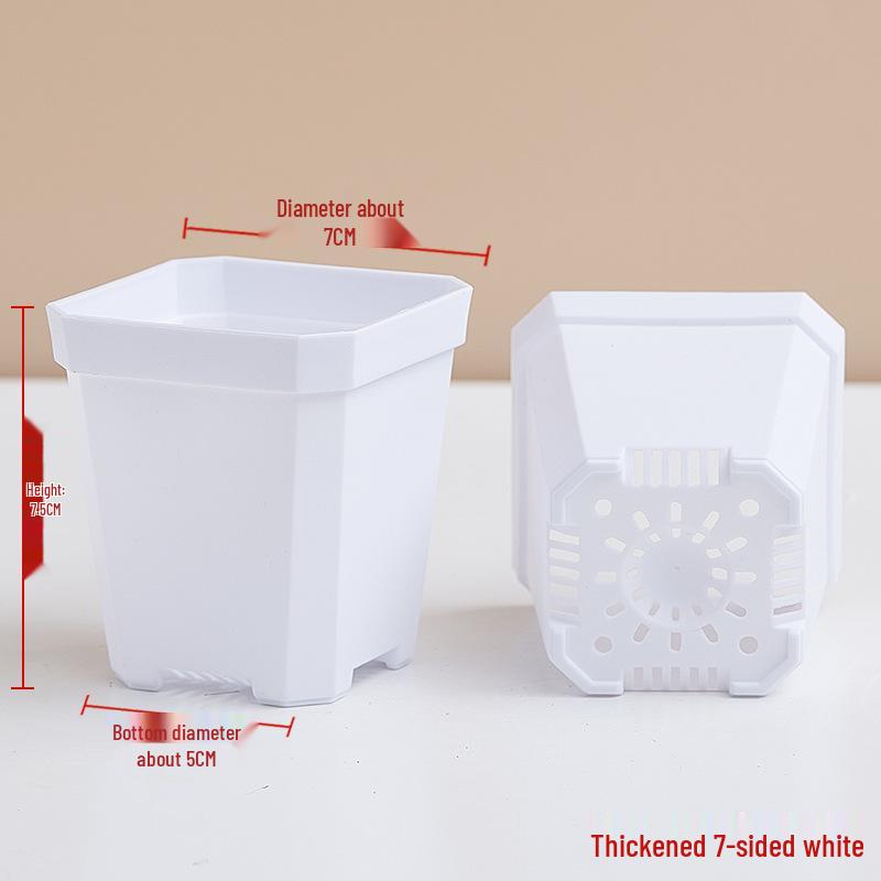 Popular Octagonal Breathable Small White Square Succulent Pot - Plastic Black Square Seedling and Leaf Pot
