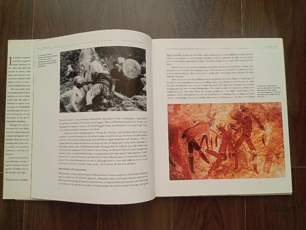 [Б/У] Шаманы Шаманы Доисторической эпохи Английская книга