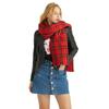Winter Versatile Color Imitation Cashmere Plaid Scarf Female Dopamine Advanced Sense Simple Warm Thickened Plaid Scarf