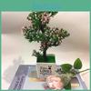 Simulated Peach Tree Branch Floral Ornament With Plastic Material For Home And Outdoor Decor