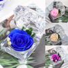 Preserved Flower Real Rose, Eternal Immortal Flowers, Best Gifts For Valentine's Day,Women, Mother's Day, Valentine's Day,
