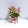 1/4 шт. Имитация горшечных растений Милый дизайн фаленопсиса Офисный декор Розовая тема Подарок Мини-вечеринка 13 см