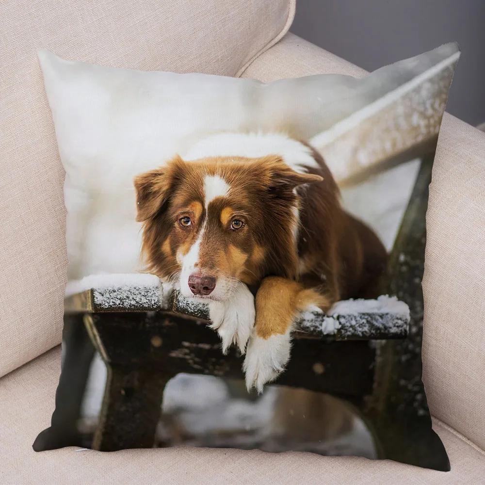 Милый Домашний Питомец Наволочка Шотландия Бордер Колли Наволочка для Дивана Автомобильного Декора Принт Собаки Мягкая Плюшевая Наволочка